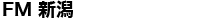 FM V